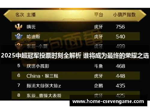 2025中超冠军投票时刻全解析 谁将成为最终的荣耀之选