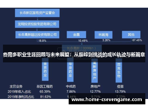 费南多职业生涯回顾与未来展望：从巅峰到挑战的成长轨迹与新篇章
