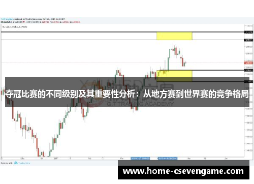 夺冠比赛的不同级别及其重要性分析：从地方赛到世界赛的竞争格局